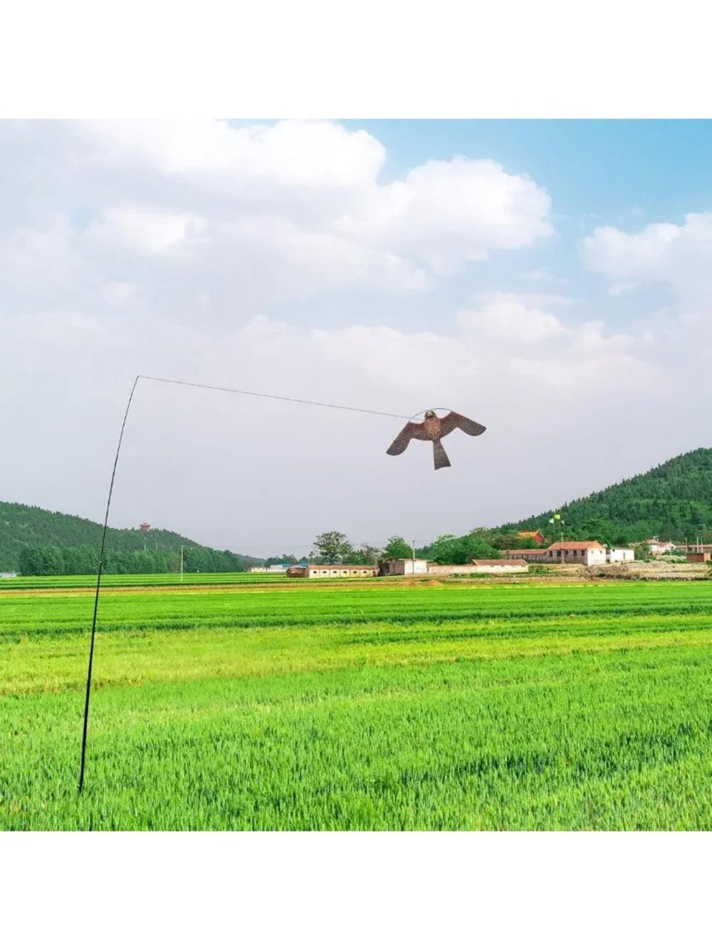 Flying Bird Scare Kite with 4m Pole - Effective Bird Deterrent for Gardens